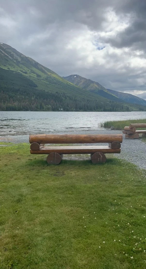 Log bench beside an Alaska river with mountains in the background.